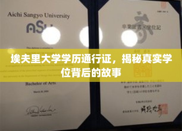 学位背后的奥秘，埃夫里大学学历通行证深度揭秘