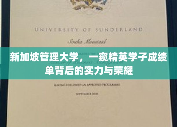 解码新加坡精英学府，管理大学学子的辉煌成绩与实力风采