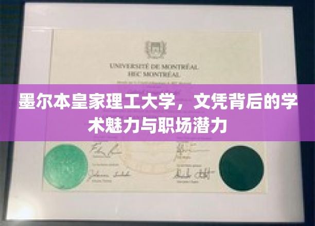 墨尔本皇家理工，文凭背后的学术之光与职场未来