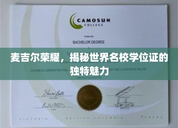 麦吉尔之光，探寻全球顶尖学府学位证的非凡风采