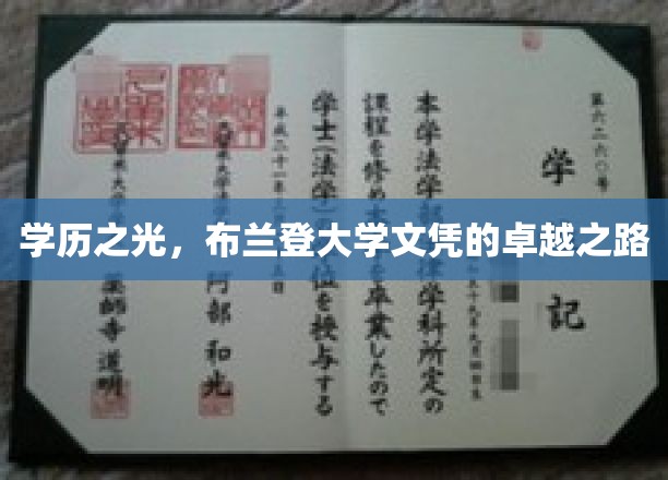 学历之光，布兰登大学文凭的卓越之路