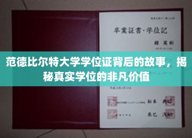 范德比尔特大学学位证背后的故事，揭秘真实学位的非凡价值