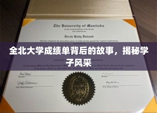 探寻全北大学学子风采，揭秘成绩单背后的成长轨迹