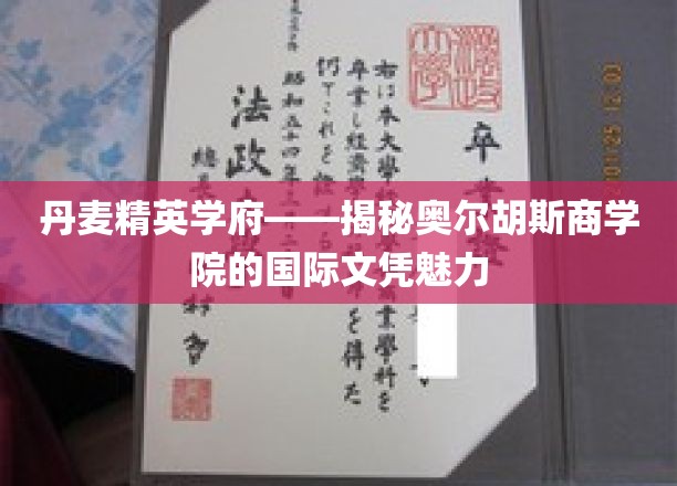 解锁国际视野，奥尔胡斯商学院文凭背后的全球吸引力