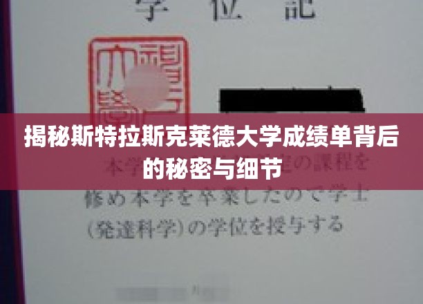揭开斯特拉斯克莱德大学成绩单的神秘面纱，揭秘其背后的不为人知细节