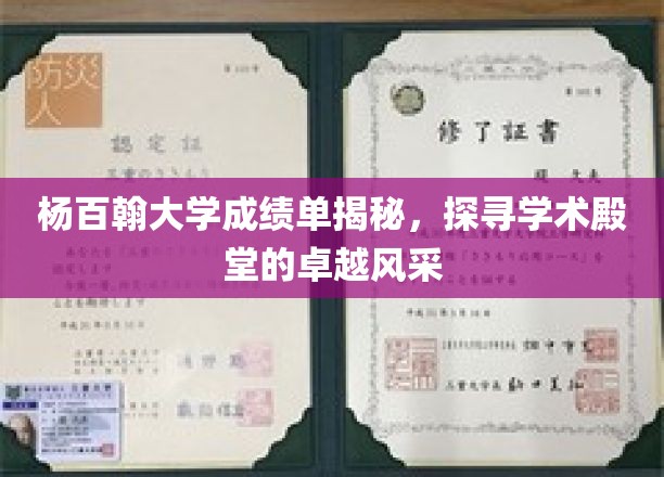 杨百翰大学卓越成绩单背后的学术传奇