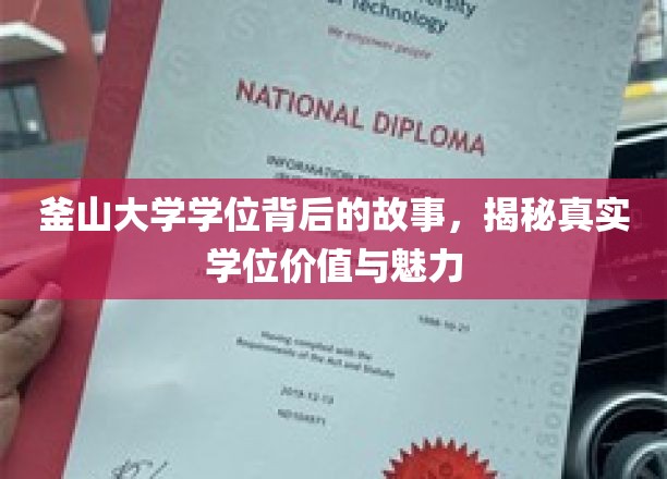 釜山大学学位背后的故事，揭秘真实学位价值与魅力