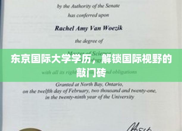 跨国学历通行证，东京国际大学助你拓展全球视野