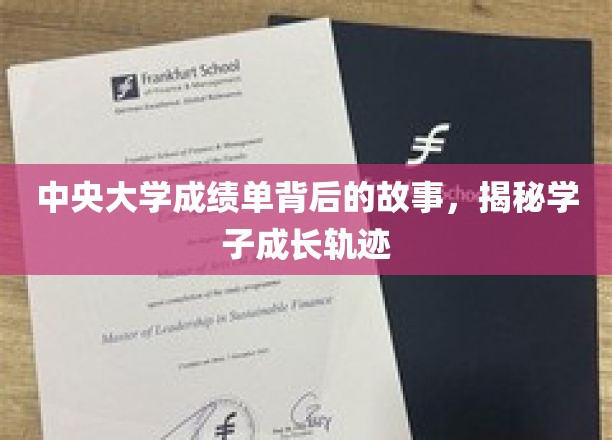 成绩单里的青春足迹，中央大学学子成长故事大揭秘