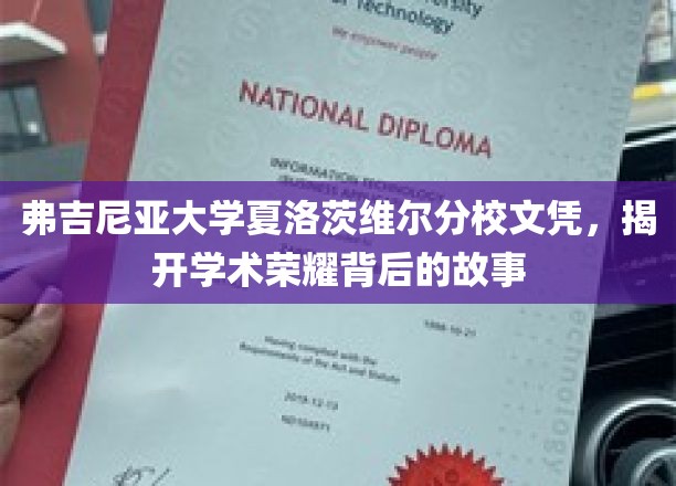 解码弗吉尼亚大学荣耀文凭，夏洛茨维尔的学术传奇揭秘