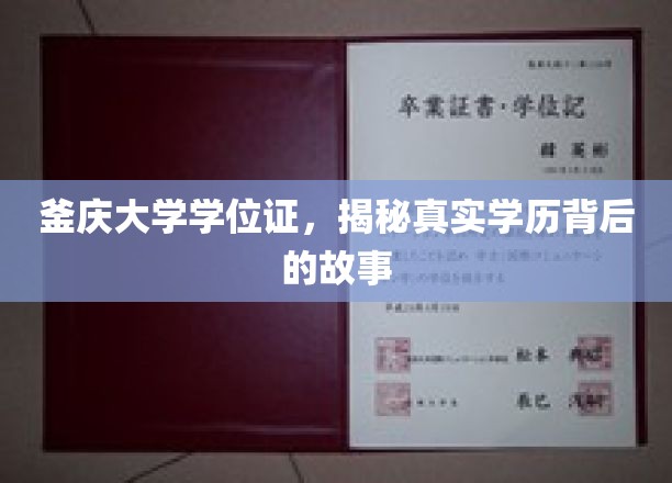 釜庆大学学位证书，揭示真实学历背后的故事
