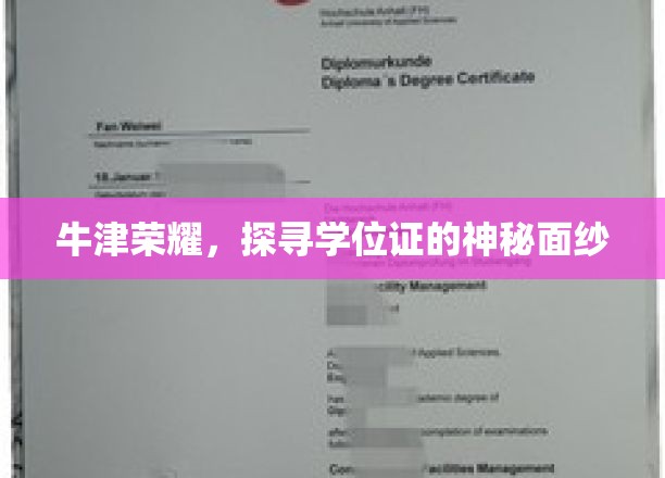 揭开牛津学位证的神秘光环，荣耀背后的故事