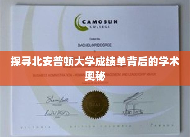 探寻北安普顿大学成绩单背后的学术奥秘
