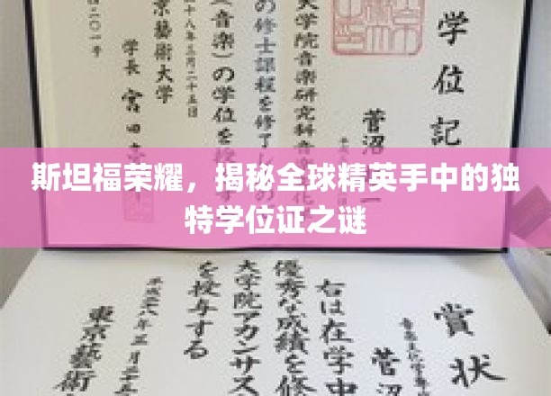 斯坦福荣耀，揭秘全球精英手中的独特学位证之谜