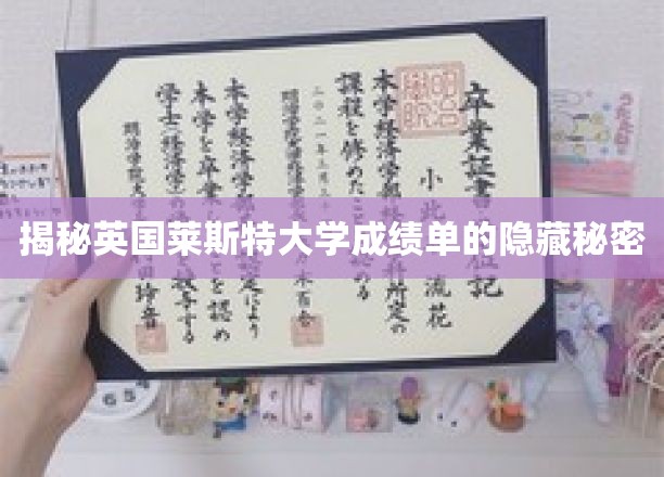 英国莱斯特大学成绩单背后的神秘解码