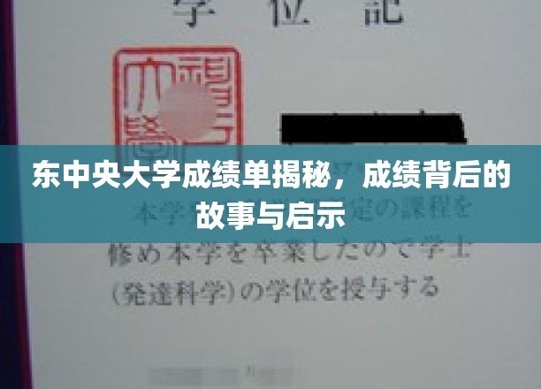 东中央大学成绩单揭秘，探寻成绩背后的故事与启示