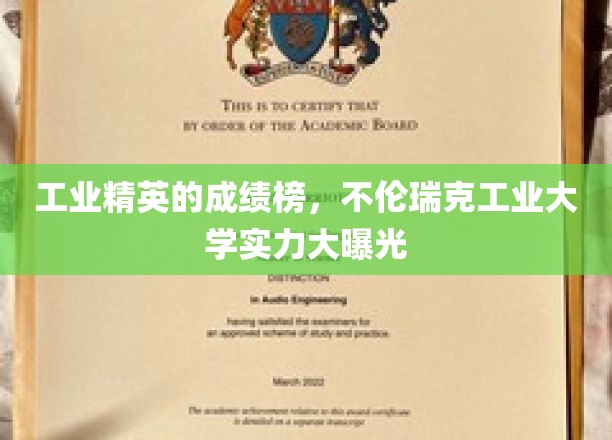 工业精英的成绩榜，不伦瑞克工业大学实力大曝光