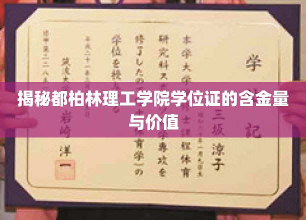 揭秘都柏林理工学院学位证的含金量与价值