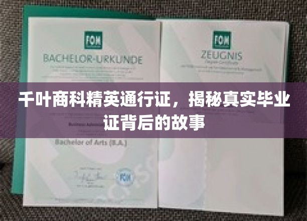 探寻千叶商科精英证背后的传奇，毕业证的神秘旅程