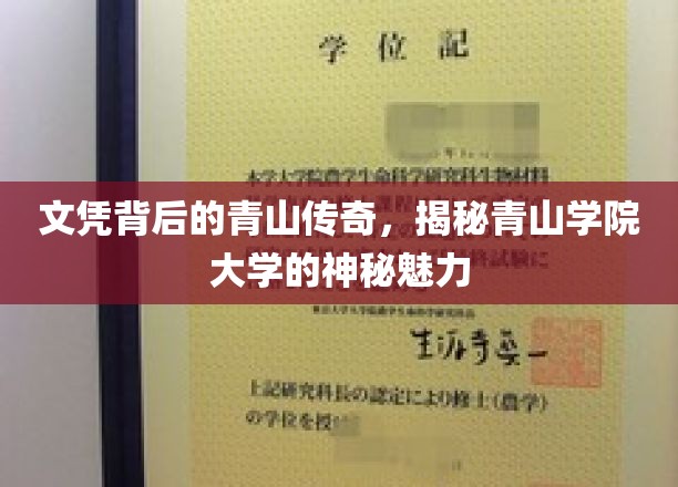 文凭背后的青山传奇，揭秘青山学院大学的神秘魅力