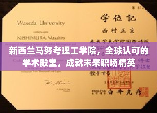 新西兰马努考理工学院，国际认可的学术殿堂，培养未来职场精英