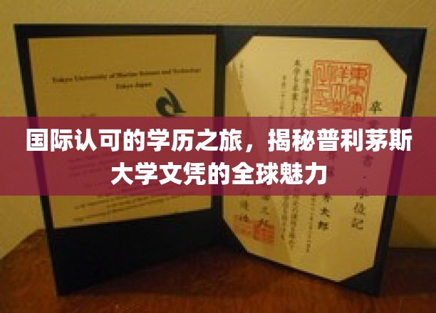 跨国认可，普利茅斯大学学历闪耀全球舞台