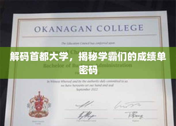 首都大学学霸秘籍，解码顶尖成绩背后的秘密