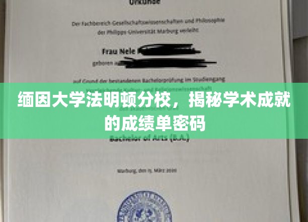 解码缅因大学法明顿分校，揭秘学术辉煌背后的成绩单奥秘