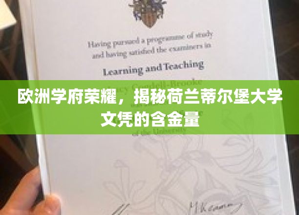 荷兰蒂尔堡大学，欧洲教育瑰宝，探索其学位的全球认可价值