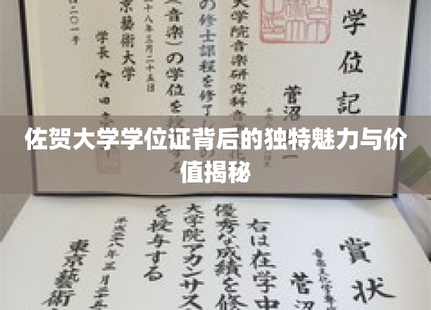 佐贺大学学位证，探寻其神秘魅力与非凡价值