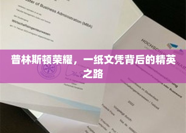 普林斯顿荣耀，一纸文凭背后的精英之路