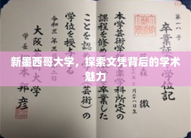 解锁新墨西哥大学，文凭背后的学术奇境