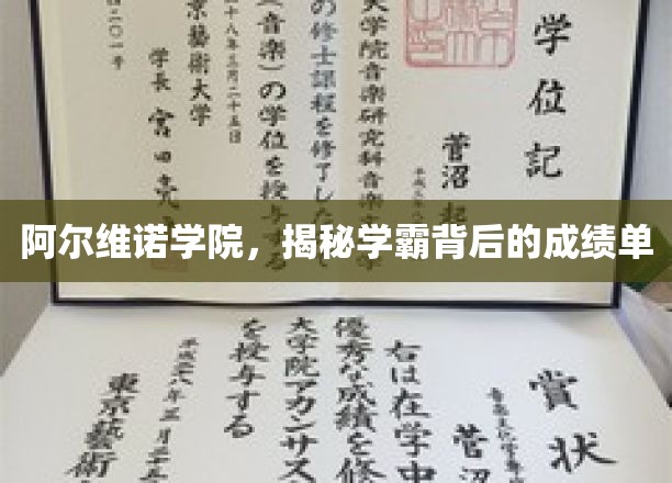 揭开阿尔维诺学院学霸们的成绩单之谜