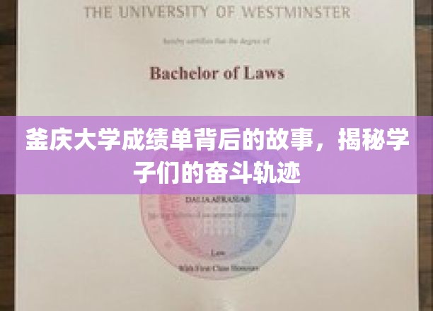 釜庆大学成绩单背后的故事，揭秘学子们的奋斗轨迹