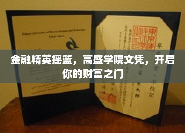高盛精英学府通行证，解锁金融领域的无限财富之旅