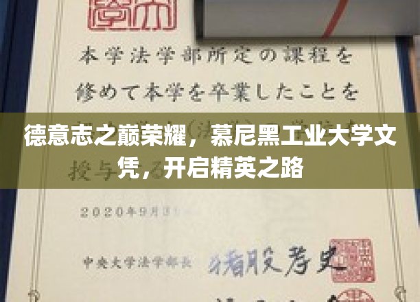 巅峰荣耀，慕尼黑工业大学文凭，开启精英教育的非凡之旅