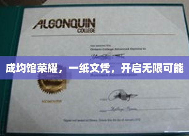 成均馆文凭，解锁人生无限潜能之门