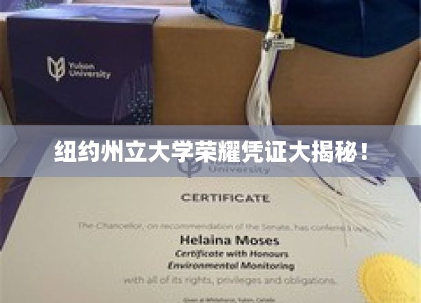 探寻纽约州立大学荣耀凭证背后的秘密，传奇学历证书大曝光