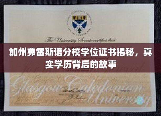 加州弗雷斯诺分校学历之谜，揭开隐藏的学位真相