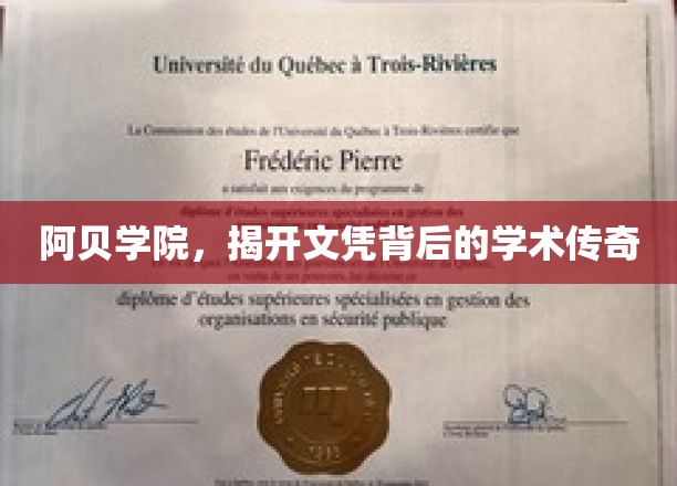 阿贝学院，探寻文凭背后的学术奥秘之旅