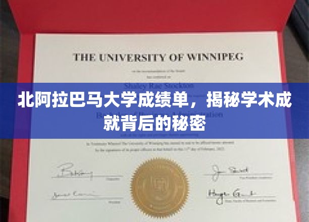 北阿拉巴马大学成绩单，揭秘学术成就背后的秘密
