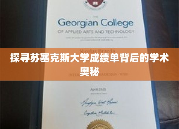 揭秘苏塞克斯大学成绩单，揭开学术卓越的神秘面纱