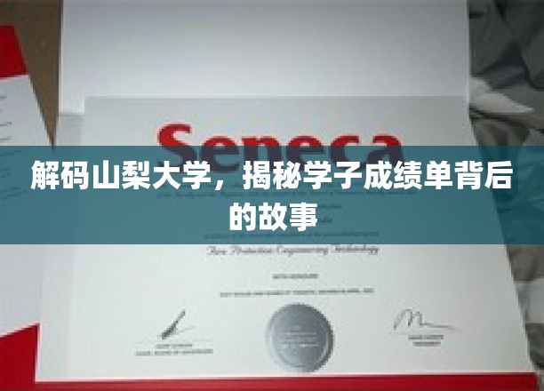 山梨大学学霸养成记，探寻成绩单背后的不凡历程