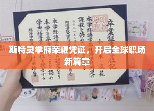 斯特灵学府荣耀证照，引领国际职场未来潮流
