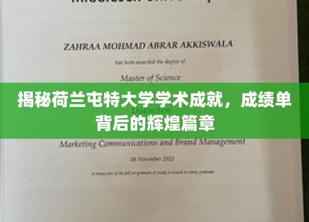 荷兰屯特大学，揭秘卓越成就，探索学术辉煌之路