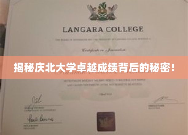 庆北大学学霸养成记，揭秘高分秘诀！