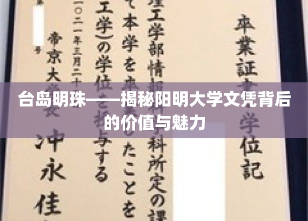 阳明之光，解码台岛明珠——阳明大学文凭的非凡价值与迷人风采