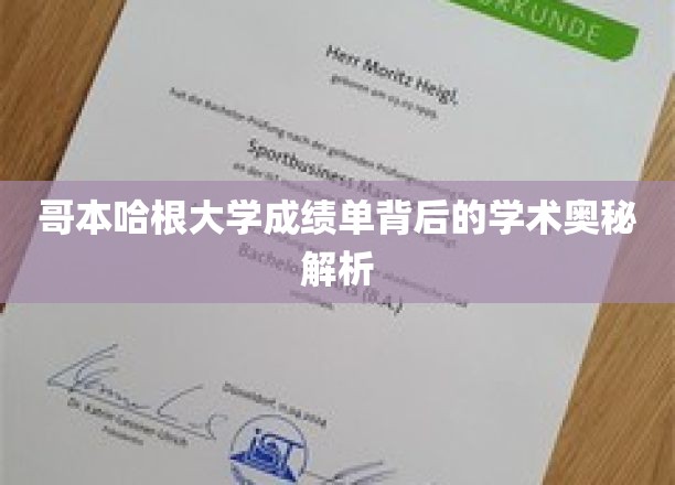 哥本哈根大学成绩单揭秘，探寻学术评价的深层奥秘