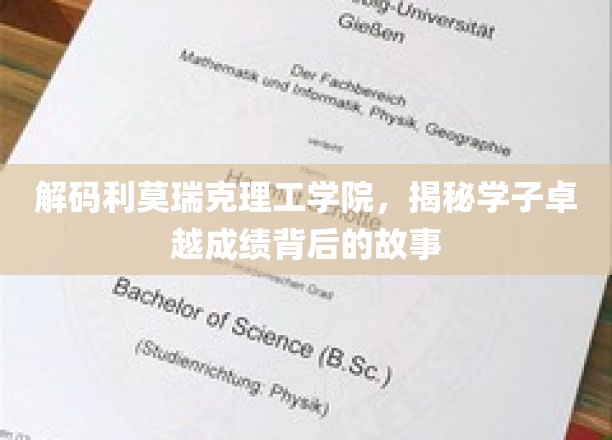 解码利莫瑞克理工学院，揭秘学子卓越成绩背后的故事
