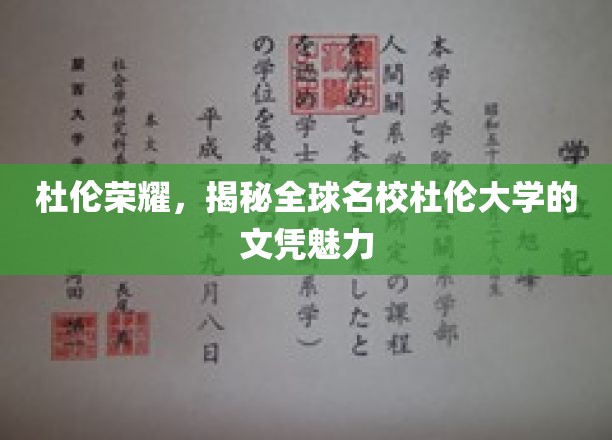杜伦传奇，探寻全球精英摇篮的学位风采